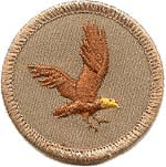 Flying Eagle Patrol
